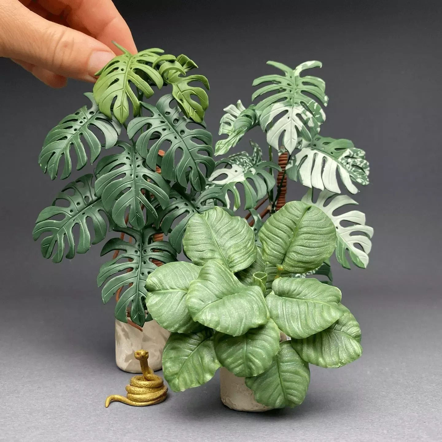 You will fall in love with these miniature plants!